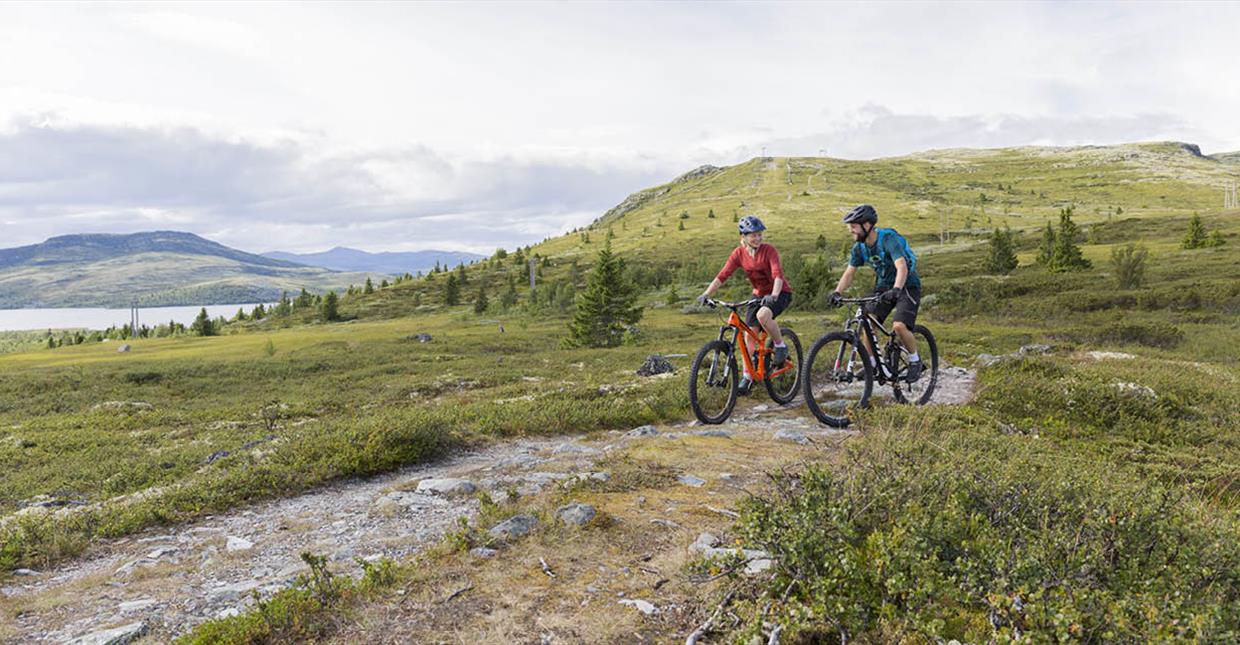 Biking at Venabygdsfjellet