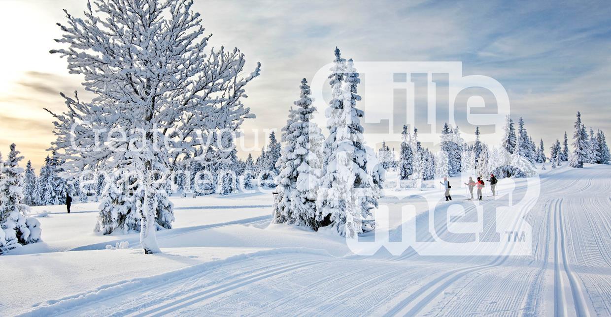 Cross Country Skiing