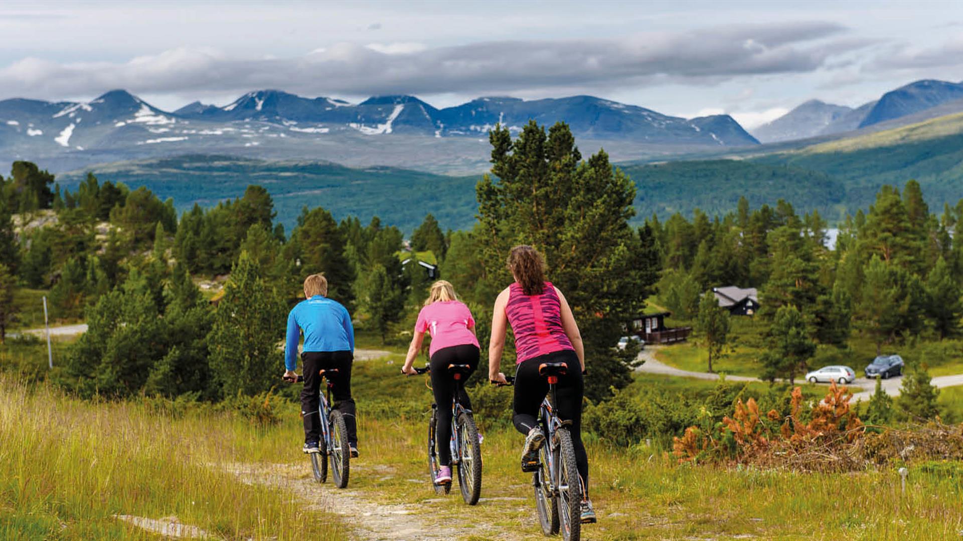 Cycling in Rondane