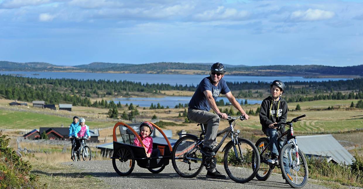 Biking at Øyerfjellet, close to Hafjell