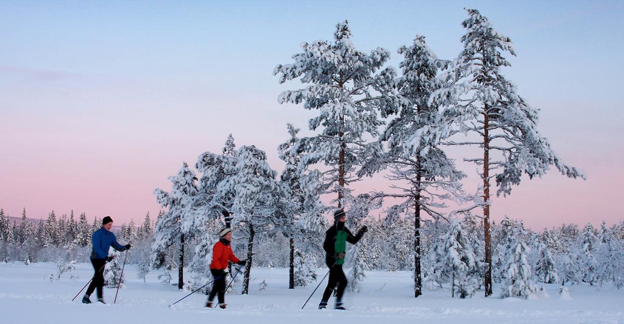 Winter wonderland, cross-country skiing