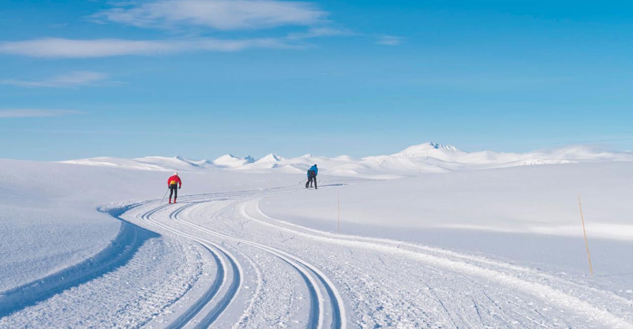 Cross Country Skiing at Venabygdsfjellet