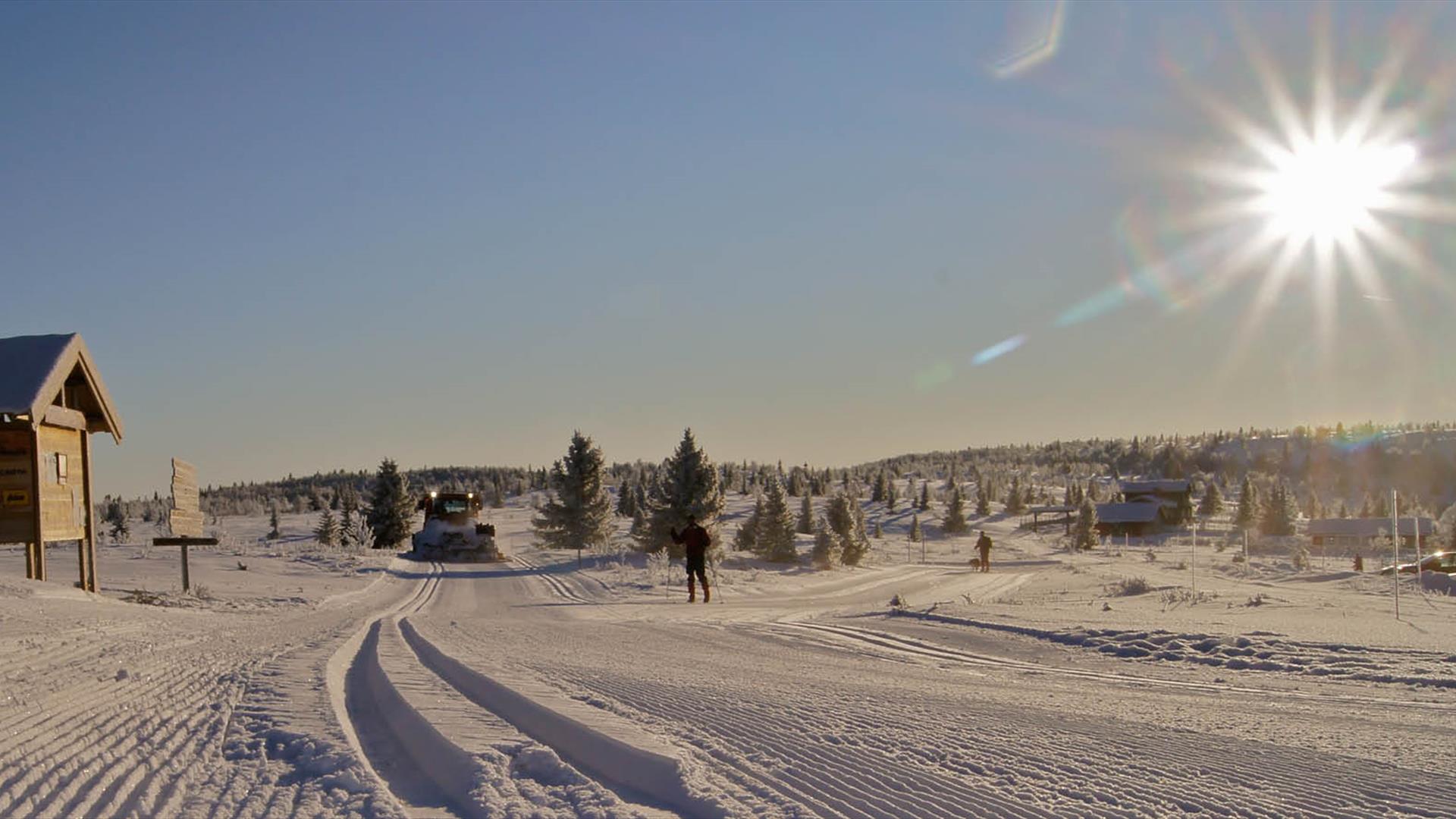 Cross-country Skiing at destination Gålå