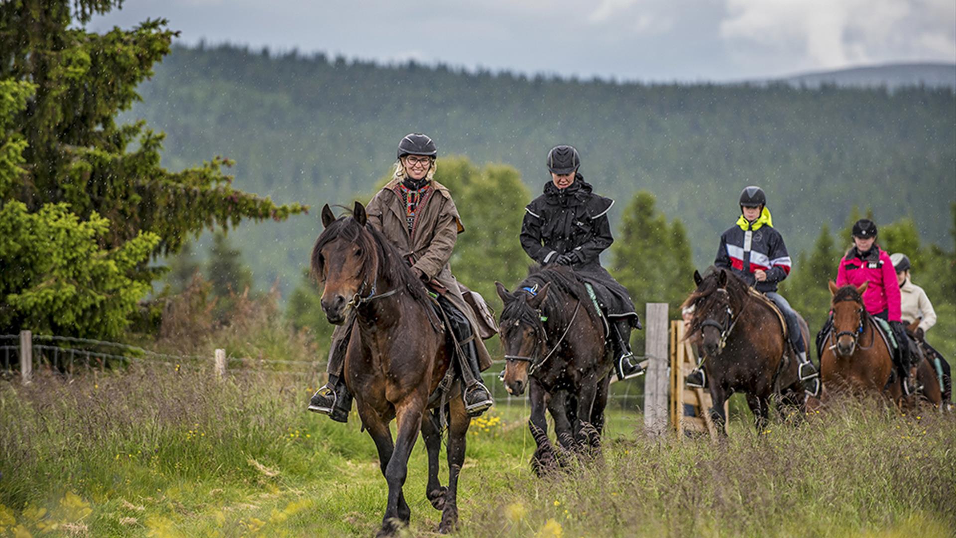 Gruppe koser seg på ridetur i naturen | Venabu Fjellhotell