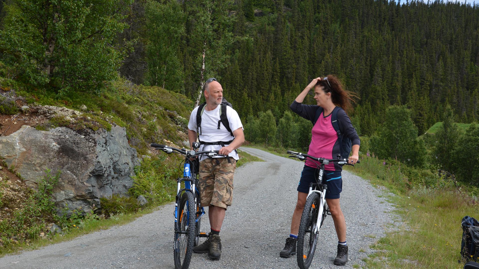 Bicycling with Discover nature Norway