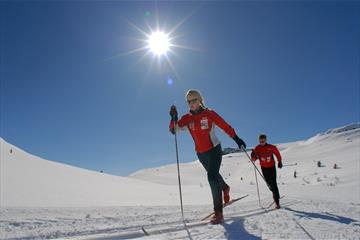 Crosscountry skiing in sunshine