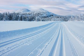 Ski tracks at Nordseter