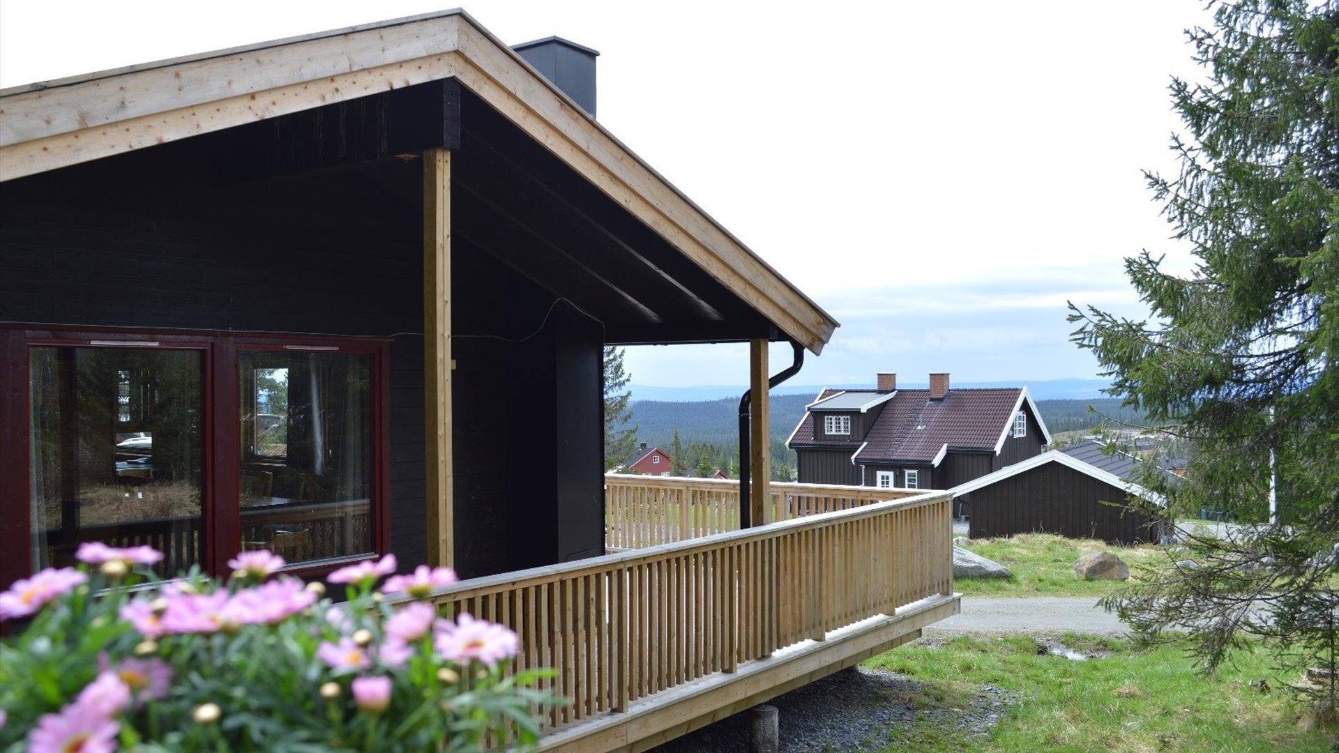 Product Image Product Image