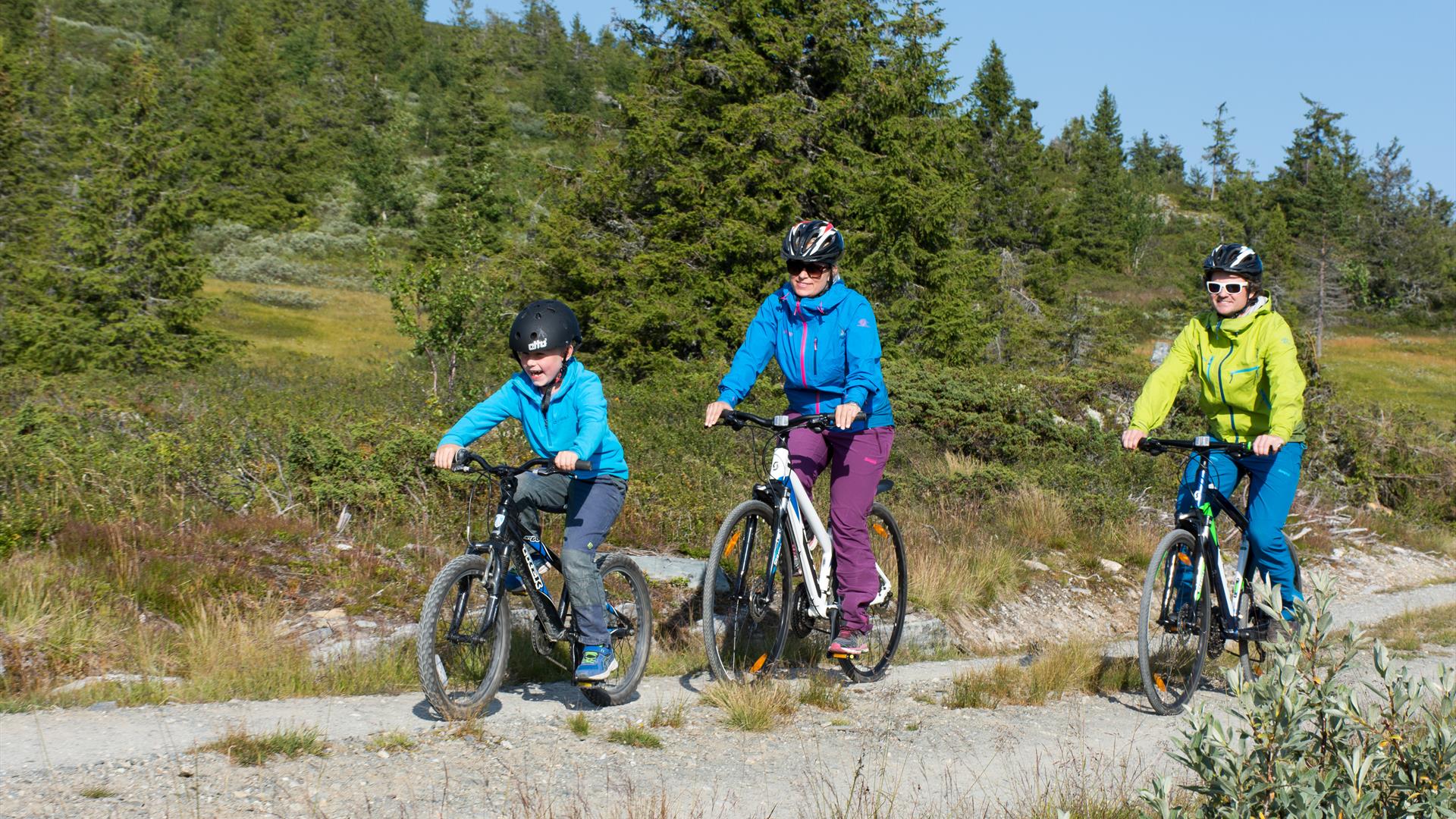 A family bicycling along a gravel road.