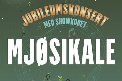 Jubileumskonsert med showkoret Mjøsikale