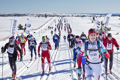 Birkebeinerrennet (Birkebeiner Ski Race) 54 km