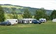 Caravans at Rybakken Camping