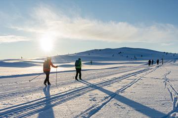 A group of cross country skiers on the tracks. Venabu Fjellhotell
