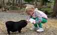 A girl feeding the pig at the Kid's farm Hunderfossen