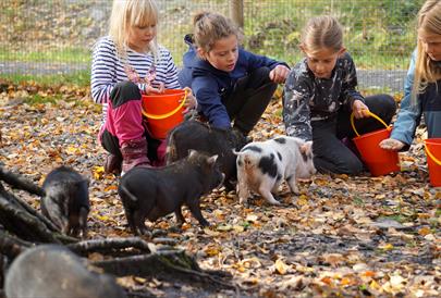 Høstferie på Barnas Gård Hunderfossen