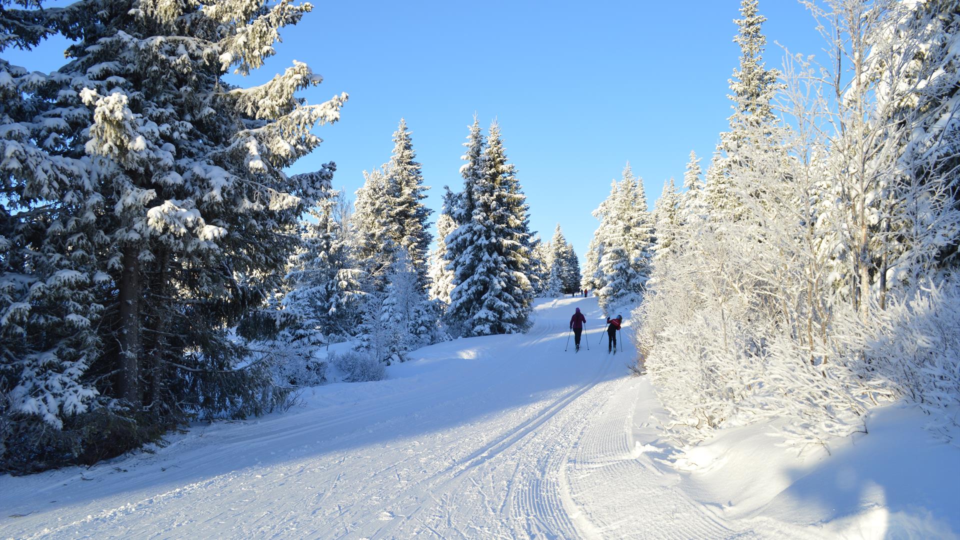 Cross country skiing at Nordseter
