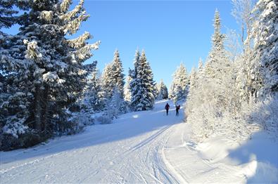 Cross country skiing at Nordseter