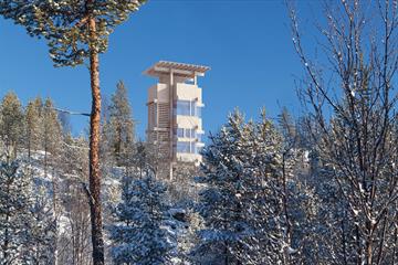 The moose observation tower