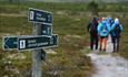 Hikers on a trail in the distance and a signpost with trail information in the front. Summer. Spidsbergseter Resort Rondane.