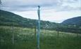Kunstverket "Flokk", en del av Skulpturstopp i Kunstlandskap Gudbrandsdalen, langs Gudbrandsdalsvegen (Stedskunst.no) Kunstverket "Flokk", en del av Skulpturstopp i Kunstlandskap Gudbrandsdalen, langs Gudbrandsdalsvegen (Stedskunst.no)