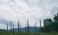 Kunstverket "Flokk", en del av Skulpturstopp i Kunstlandskap Gudbrandsdalen, langs Gudbrandsdalsvegen (Stedskunst.no) Kunstverket "Flokk", en del av Skulpturstopp i Kunstlandskap Gudbrandsdalen, langs Gudbrandsdalsvegen (Stedskunst.no)