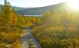 Autumn in the mountains. Sunlight on a pathway and autumn colors in the trees. Spidsbergseter Resort Rondane