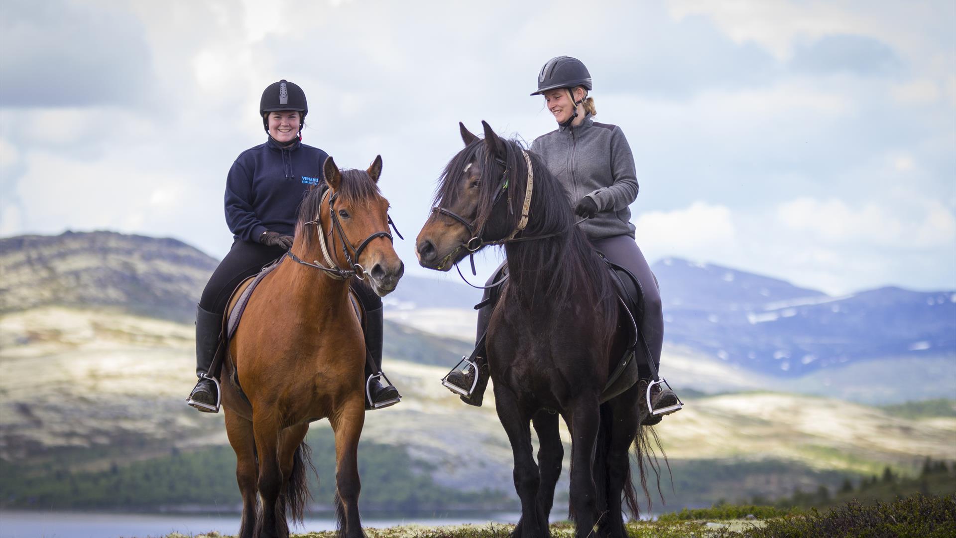two riders and horses on Venabygdsfjellet