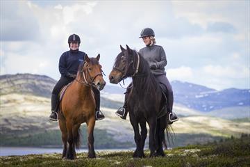 two riders and horses on Venabygdsfjellet