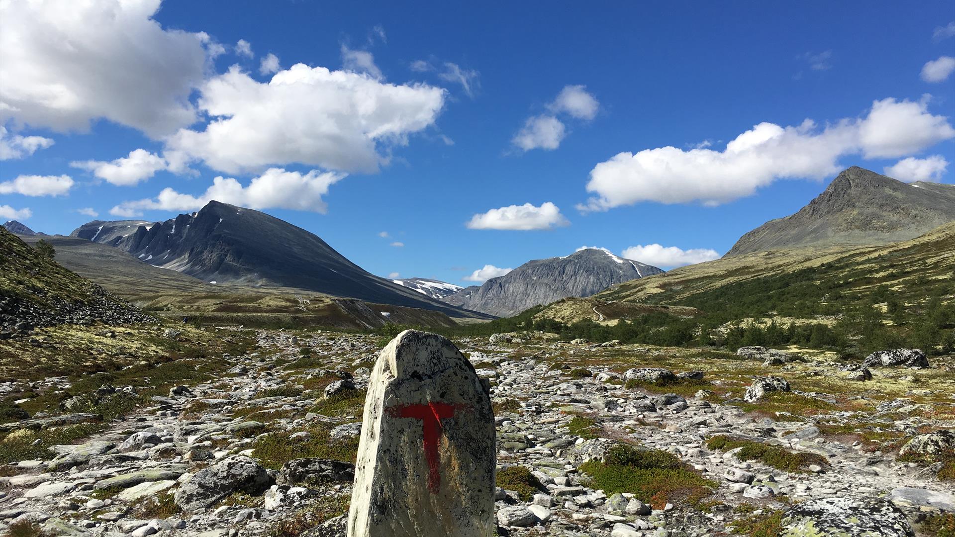 Merket tursti i Rondane Nasjonalpark | Venabu Fjellhotell