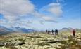 Gruppe vandrer i et åpent landskap med fjelltopper omkring | Venabu Fjellhotell