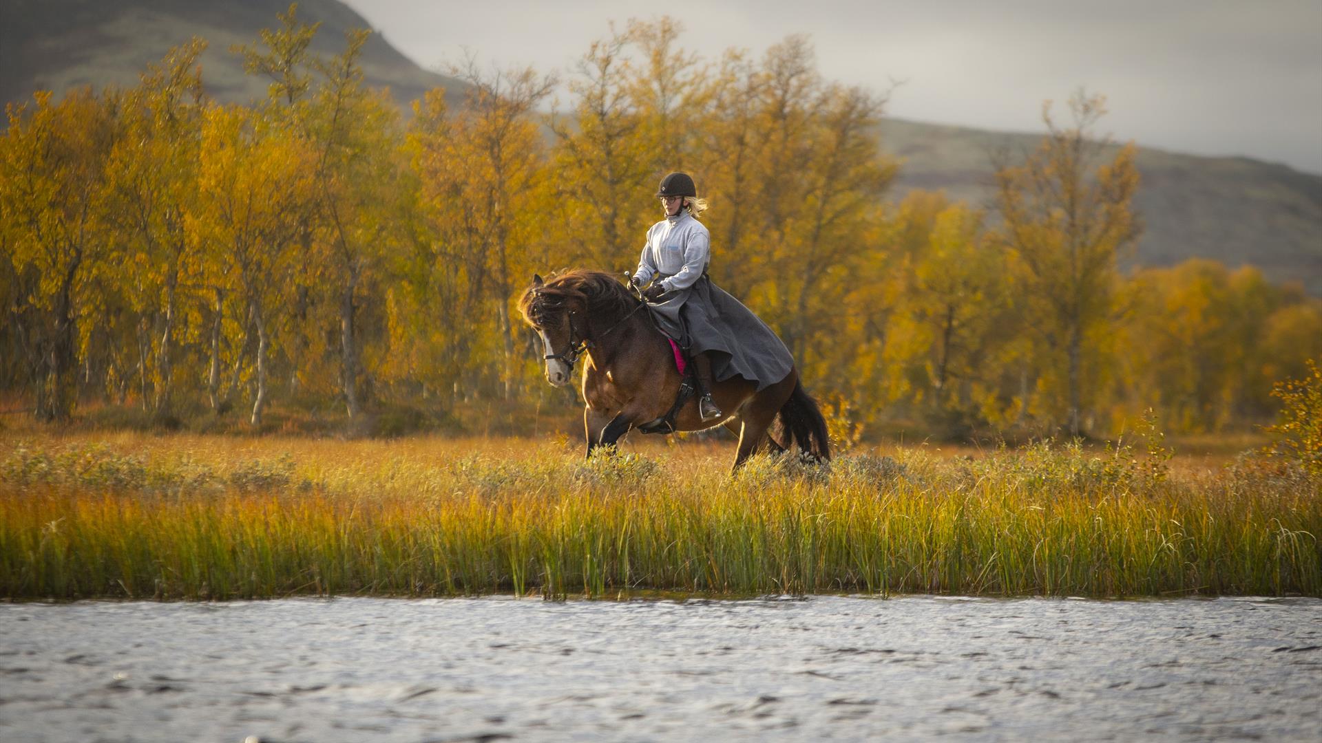 Horse and rider canter by a mountain lake
