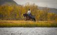 Horse and rider canter by a mountain lake