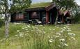 Two small turf-roofed cabins with daisies in the foreground. Venabu Hytter