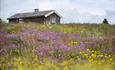 The summer farm of Lykkjesetra and its flower meadow. Venabu Fjellhotell