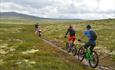 5 mountainbikers cycle along a path on the Venabygdsfjellet.