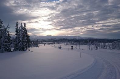 Skitur rundt Skjervungsvannet mot Spåtind.