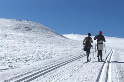 Ut på ski mot Spåtind