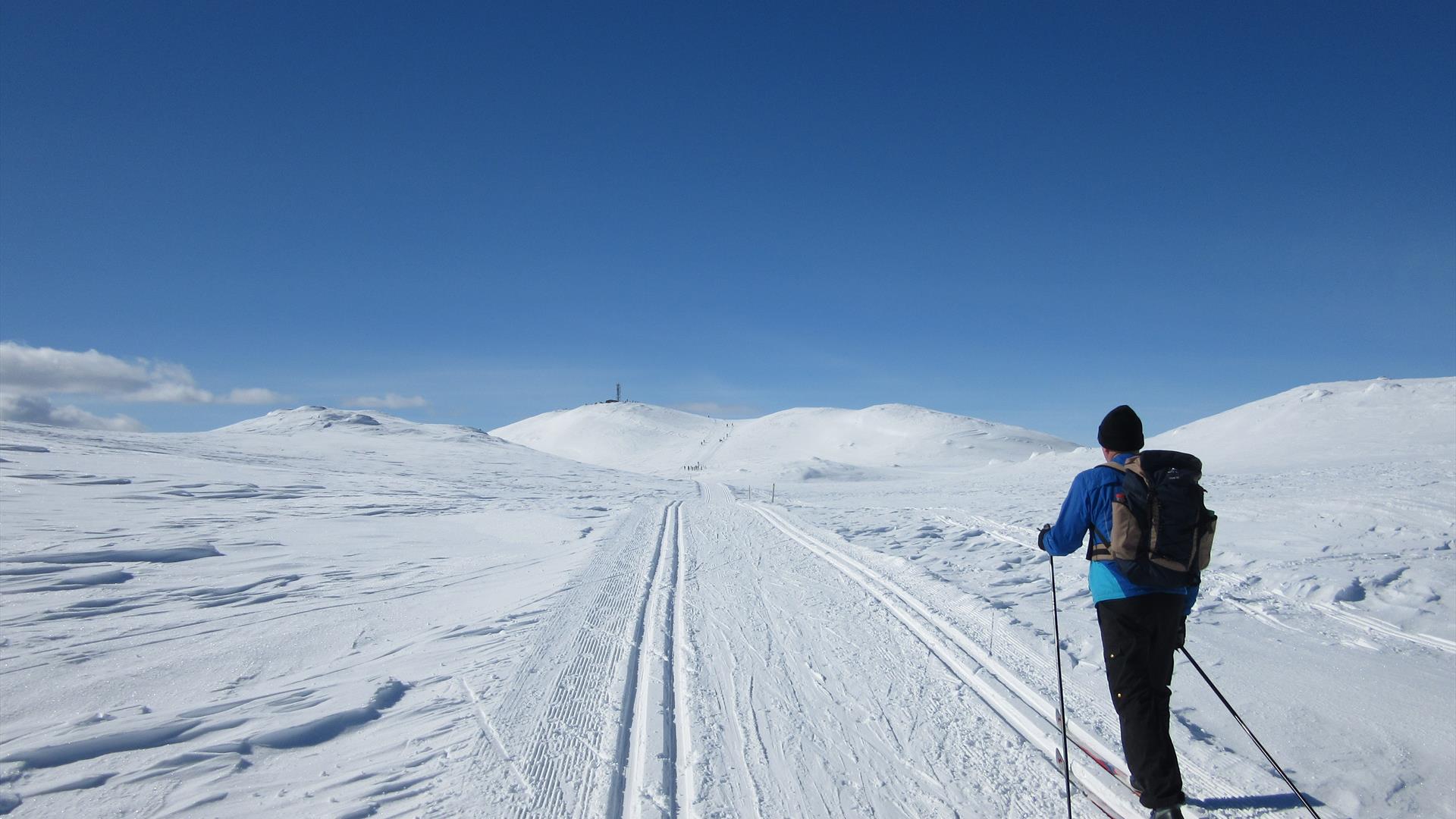 Spåtindtoppen på ski.