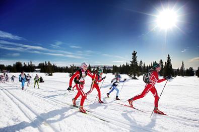 UngdomsBirken Ski (Youth ski race)
