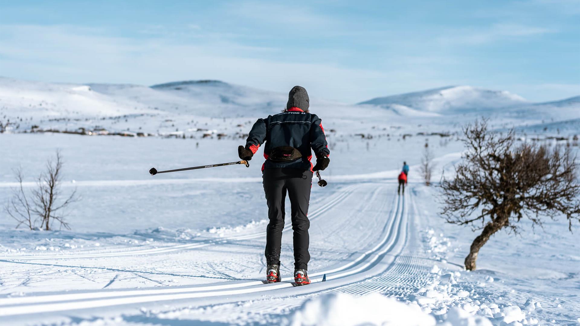 Skigåer i nykjørt skiløype på en nydelig vinterdag | Venabu Fjellhotell