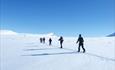Cross country skiers walking across untouched snowland
