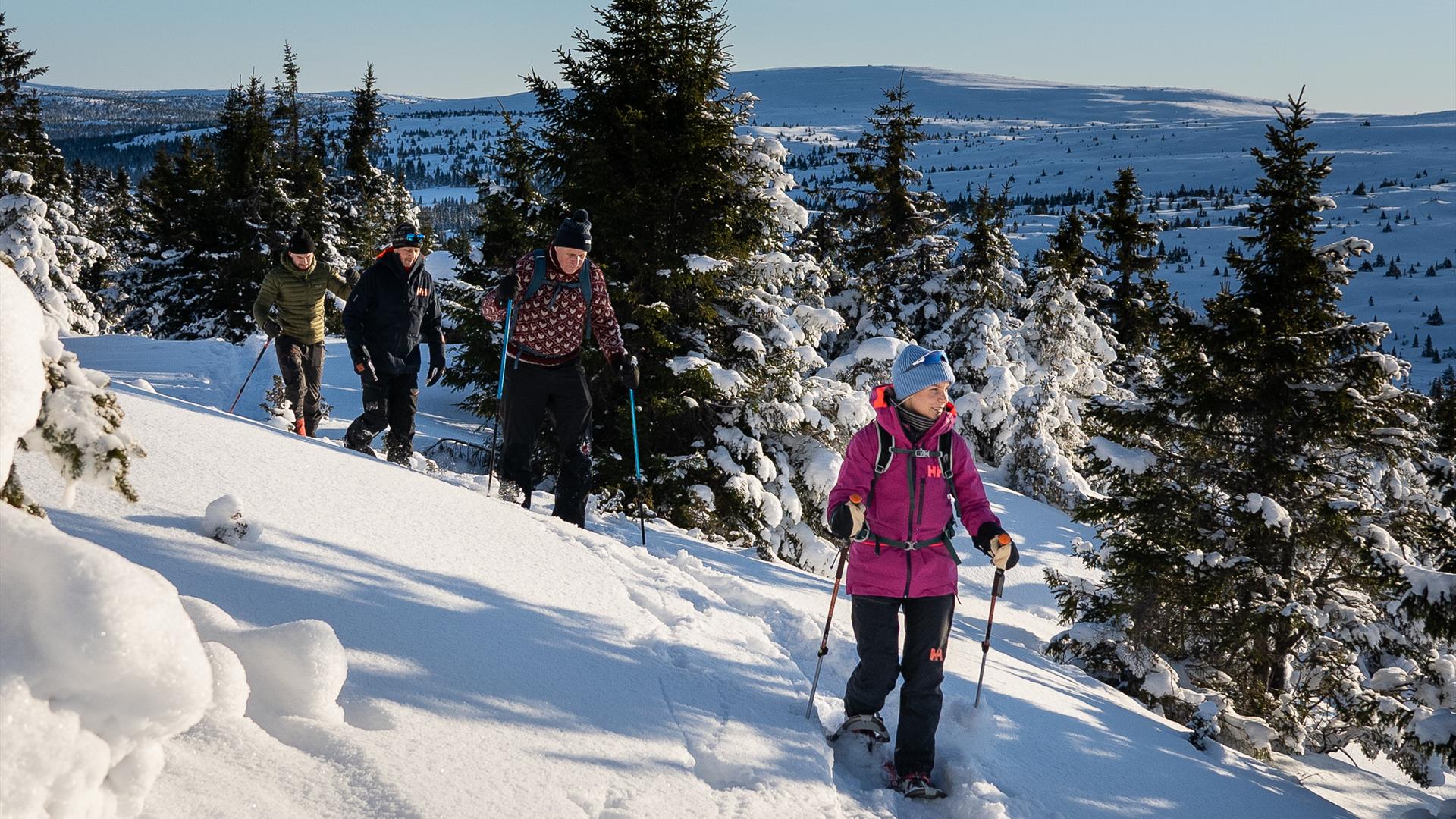 På trugetur i skogen På trugetur i skogen