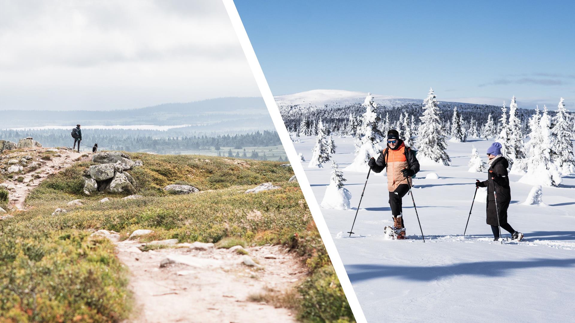 Mountain trail and cross-country skiers in winter landscape Mountain trail and cross-country skiers in winter landscape