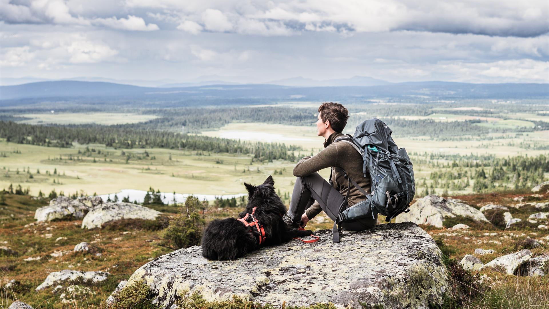 Person sitter på stein og ser utover fjellandskap Person sitter på stein og ser utover fjellandskap