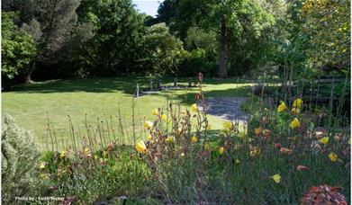 image of garden