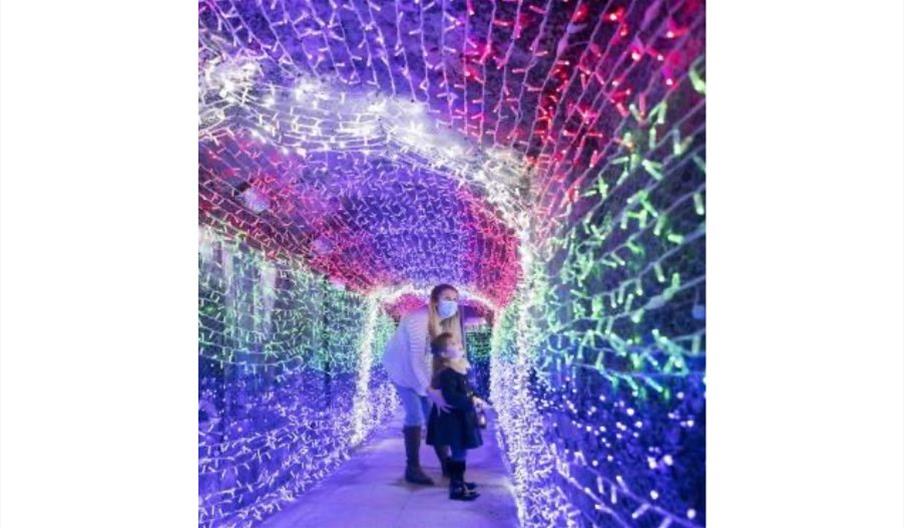 Tunnel of Lights Christmas in Charlestown, Looe Looe