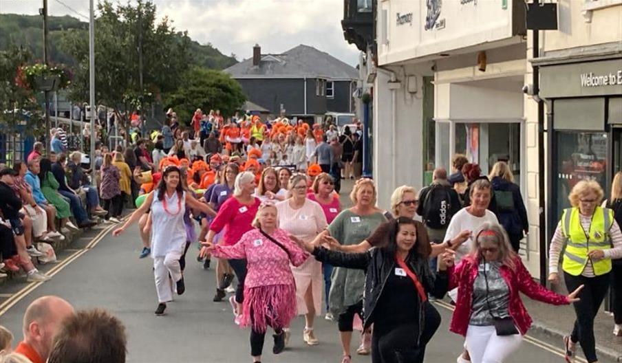 Poster Looe Carnival Week