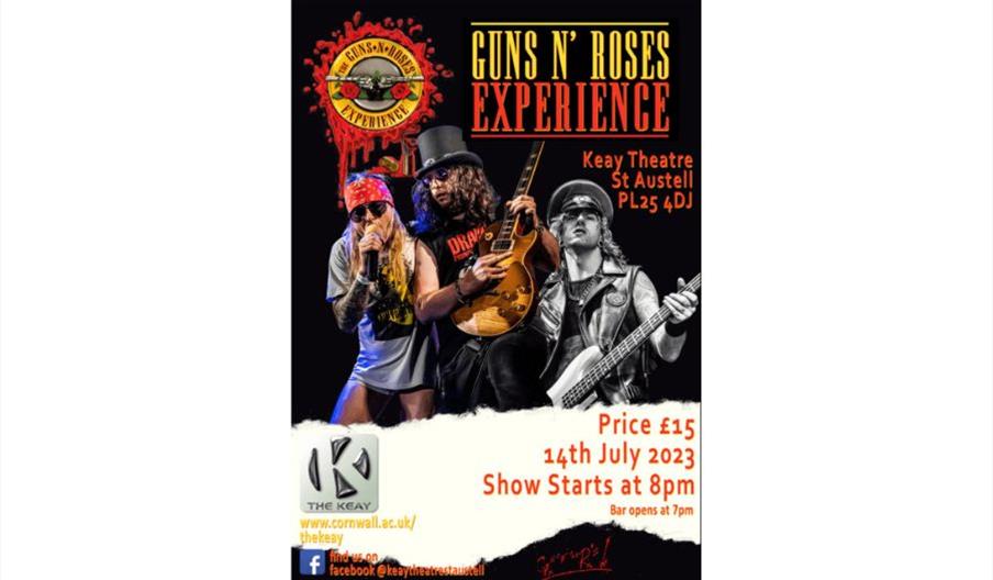 poster of guns n roses experience