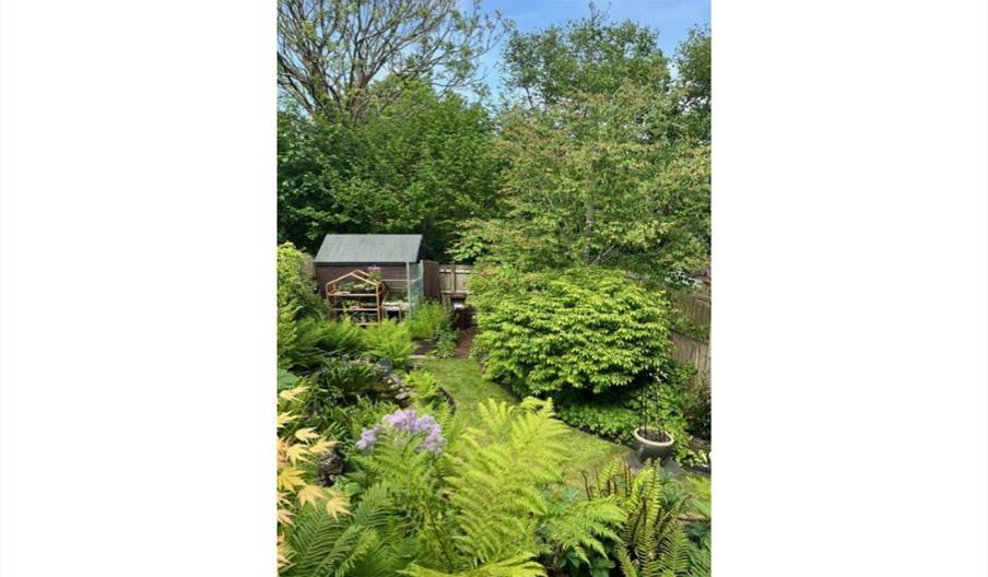 Image of garden