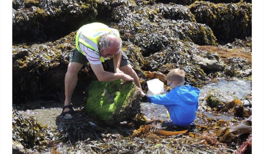 rock pooling